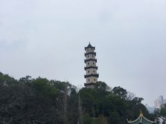 -江心屿景区