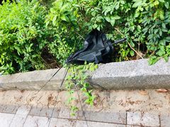 -宝健路步行街(Pedestrian Shopping Street)