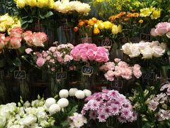 -BOBLOOM花店(宝龙旭辉广场店)