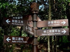 -铁山坪森林公园