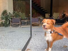 -J Create城市露营咖啡·简餐·宠物(上海动物园店)