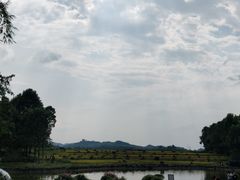 -邓小平故里