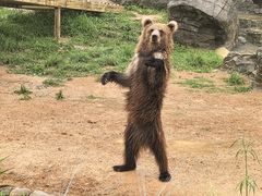 -杭州野生动物世界