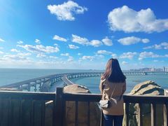 -星海湾跨海大桥