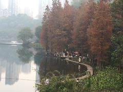 -重庆彩云湖湿地公园
