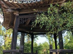 -韩湘水博园