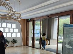 -合肥美奥口腔·种植矫正中心(政务院)