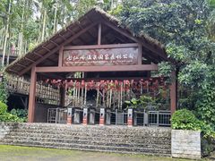 -七仙岭温泉国家森林公园