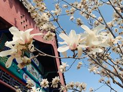 -西海子公园