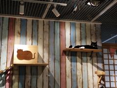 -小时光咖啡馆(开森度假森林店)