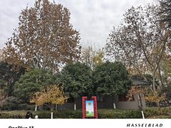 -莲湖公园