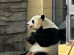 -石家庄市动物园