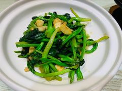 -朝郡酒家·粤菜(燕大星苑店)
