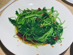 -佬肥猫(南翔印象城MEGA店)