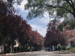 -山东师范大学(千佛山校区)