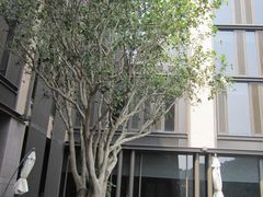 -台北北投丽禧温泉酒店