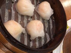 陈光记虾饺皇-澳门陈光记烧味饭店(郎家园店)