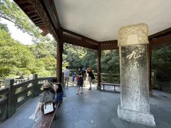 -东航云逸酒店(九溪烟树店)