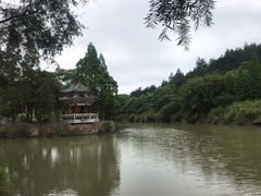 -九鲤湖风景区