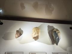 -岳阳市博物馆