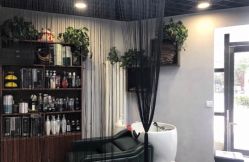 -零下一度造型