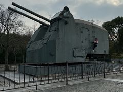 -上海吴淞炮台湾国家湿地公园