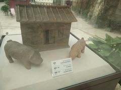-乐山市博物馆
