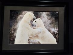 -罗红摄影艺术馆