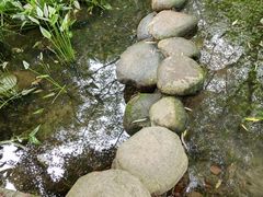 -陈家山荷花公园