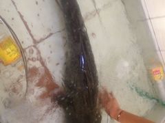 iphone_upload_pic-球溪周鲢鱼