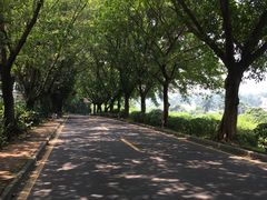 -南国桃园旅游度假区