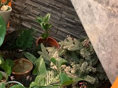 -泰古龙抓龙筋·spa按摩(静安店)