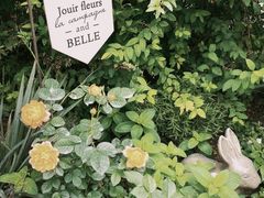 -Jo's Garden