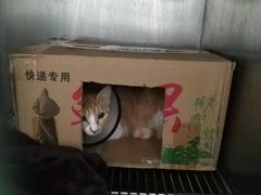 -瑞派康怡24h宠物医院·犬猫医疗中心·微创绝育(瑞景分院)