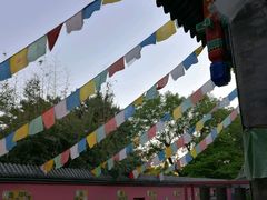 -北京九华山庄会展酒店