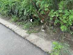 -鸡鸣山旅游景区