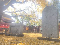-浮来山风景区