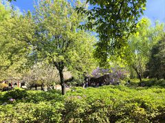 -洛阳市隋唐城遗址植物园