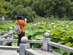 -丝绸小镇荻港古村