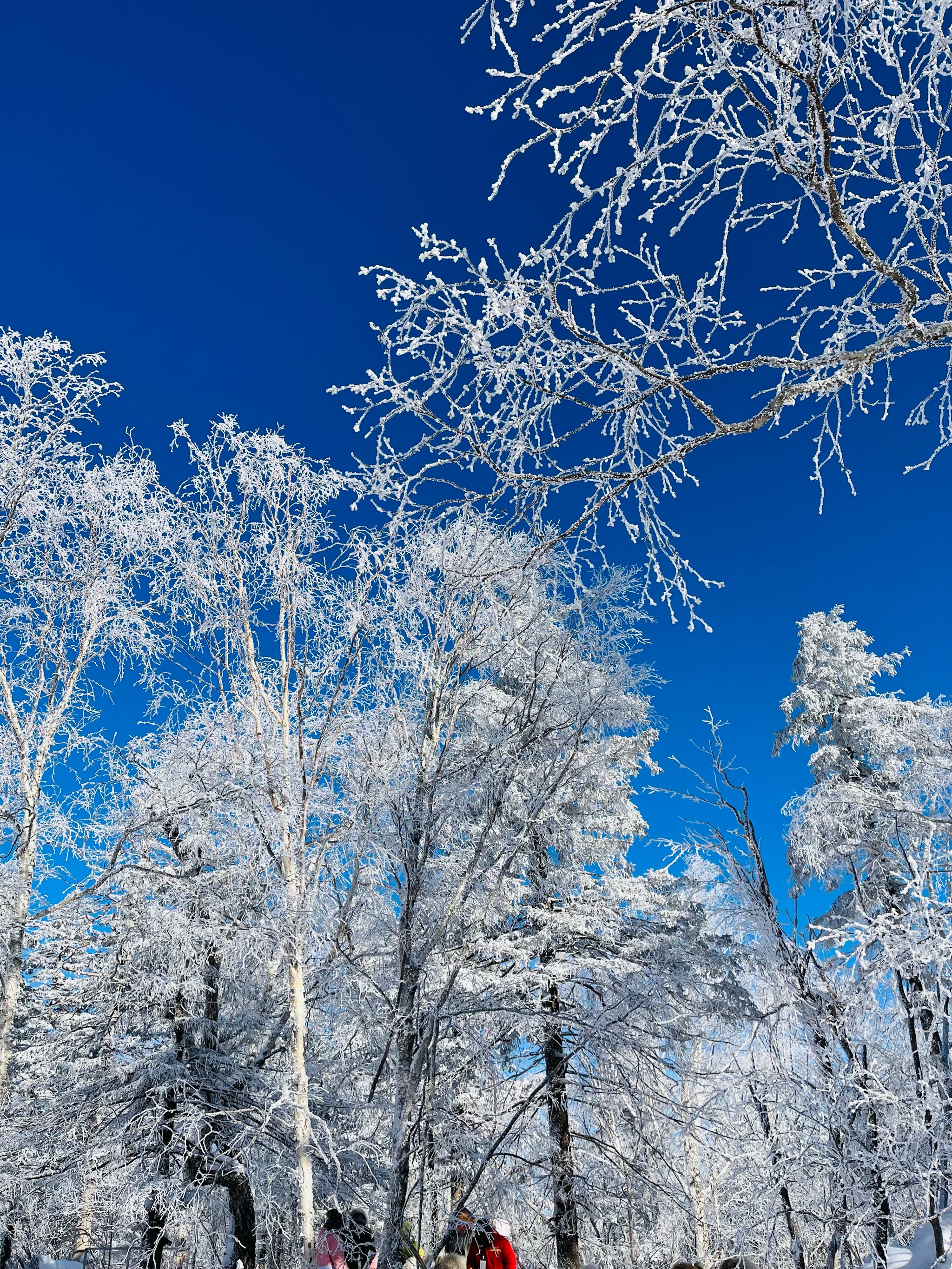 冰雪风景图片图片