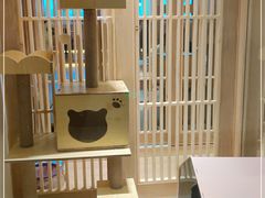 -猫腻·猫咖·撸猫馆(星光大道店)