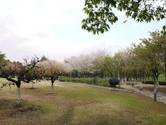 -白塘生态植物园
