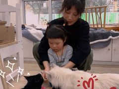 -李小姐の猫咖啡馆(五角场店)