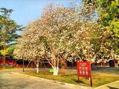 -北京市劳动人民文化宫(太庙)