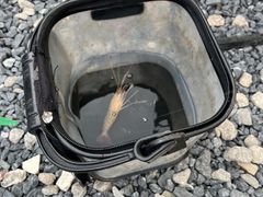 -DGE季风钓虾营地·团建·聚会