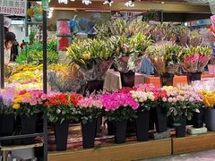 -大自然花鸟鱼虫市场