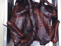 -金元源(新星店)