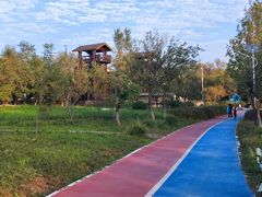 -绿堤公园