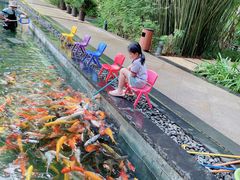 -三亚湾海居铂尔曼度假酒店