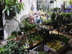 -循礼门鲜花花市(武汉循礼门店)